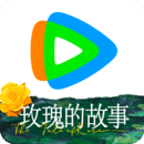 蜗牛角上